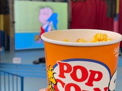 -史努比缤纷世界