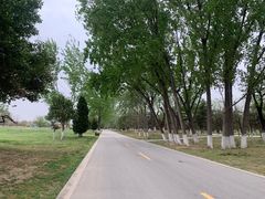 -汉长安城未央宫国家考古遗址公园