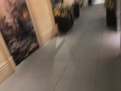-湖锦酒楼·旗舰店(三阳总店)