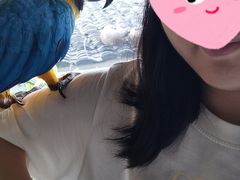 -吉丁鸟咖·异宠·寄养
