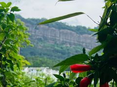 -丹霞山风景名胜区