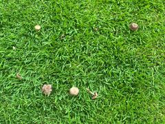 -锦江饭店锦北楼-锦江厅