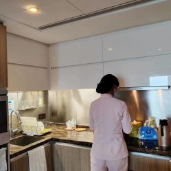 -巍阁高端月子会所