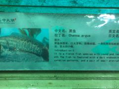 -苏州海洋馆