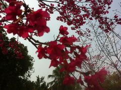 -广东外语外贸大学(白云山校区)