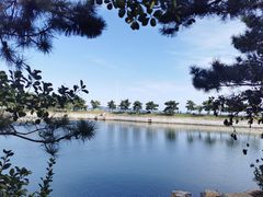 -莫内艺术岛海景咖啡