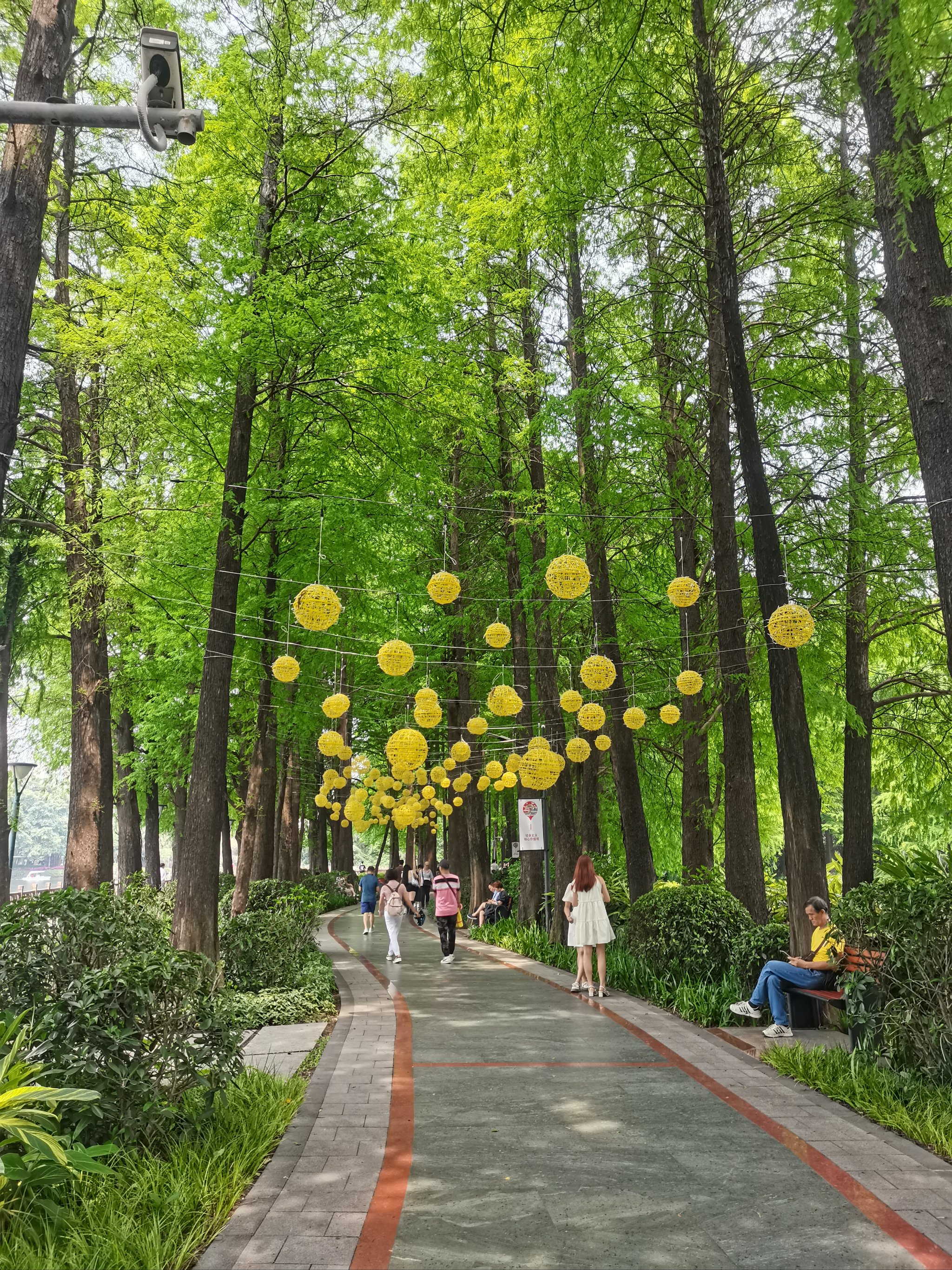 流花湖公园正门图片图片