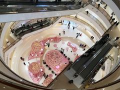 -好彩猪肚鸡(正弘城店)