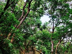 -梧桐山风景名胜区