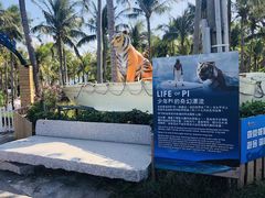 -白沙湾海滩