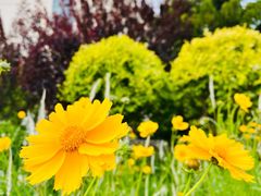 -南开大学滨海学院