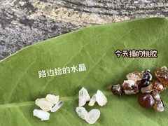 -火炉山森林公园