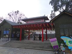 -松山湖梦幻百花洲