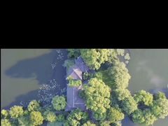 -西湖外事游船(花港观鱼码头)