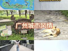 -海珠湖公园