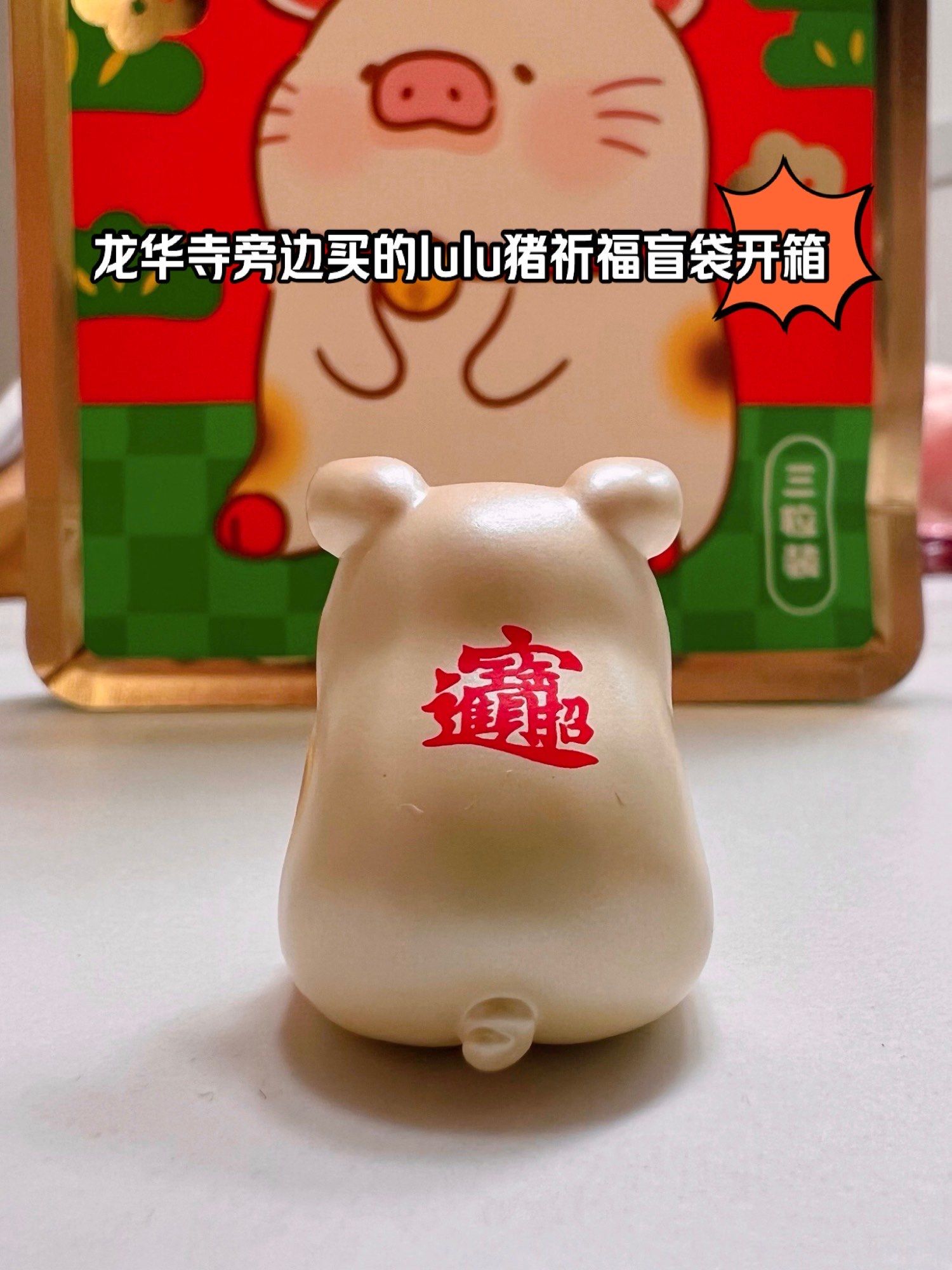 来个猪友看看这个儿lu猪盲袋值不值