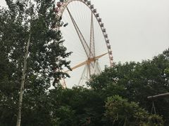 -辛玛王国游乐园