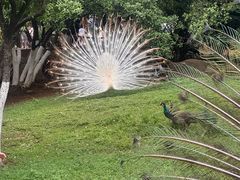 -昆明动物园
