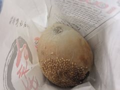 -百年夯碳烤胡椒饼(阿拉城店)