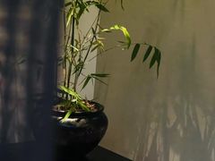 -王府茶楼茶宴·创意菜(大观园总店)