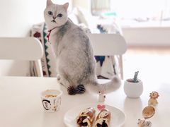 -81bakery(关山路店)