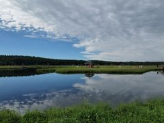 -塞罕坝国家级自然保护区