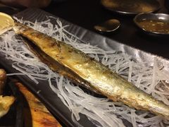 -春草居酒屋·晴子の店