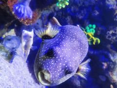 -郑州海洋馆