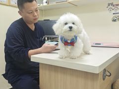 -全心全意连锁动物医院·微创中心·内科急重症·心脏专科(丰管路店)