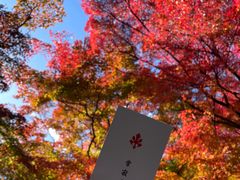 -常寂光寺