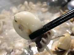 -拾下卜卜贝•海鲜火锅