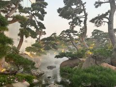 -罗红摄影艺术馆