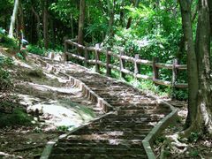 -上海佘山国家森林公园天马山园