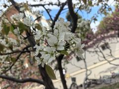 -中国人民大学图书馆新馆