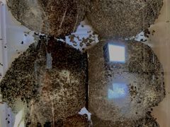 -南大门韩国米糕(公滨路店)