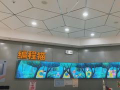 -编程猫·少儿编程(绿宝校区)