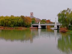 -新江湾城公园