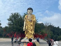 -冶父山国家森林公园