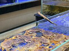 -粤珍轩.创始店.始于2001(含光门店)
