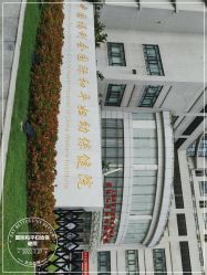 -中国福利会国际和平妇幼保健院(徐汇院区)