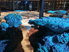 -中国（海南）南海博物馆