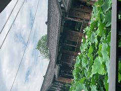 -莫催咖啡