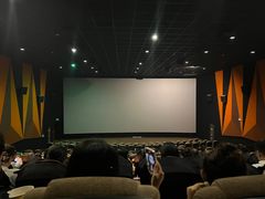 -金逸影城(影视中心IMAX店)