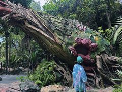 -奥兰多迪士尼动物王国乐园