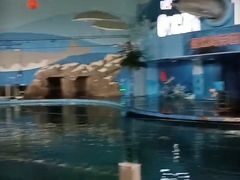 -苏州海洋馆