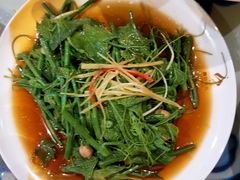 豆苗-撒拉花儿·新疆菜·清真(太阳宫店)