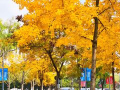 -浙江大学(紫金港校区)