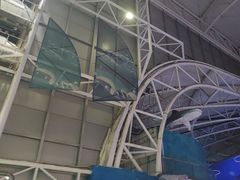 -烟台海昌鲸鲨海洋公园