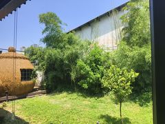 -柴米油盐(土菜院子店)