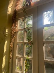 点击看大图 -HeyJewel全球独立设计师原创首饰集合店